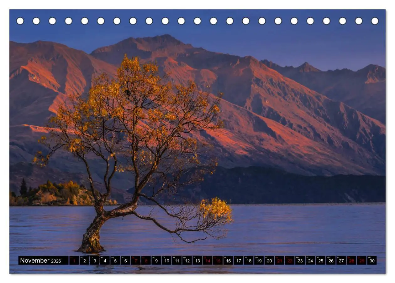 Bild: 9783457884621 | Trauminseln Neuseeland (Tischkalender 2026 DIN A5 quer), CALVENDO...