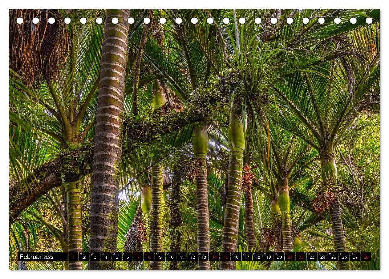 Bild: 9783457884621 | Trauminseln Neuseeland (Tischkalender 2026 DIN A5 quer), CALVENDO...
