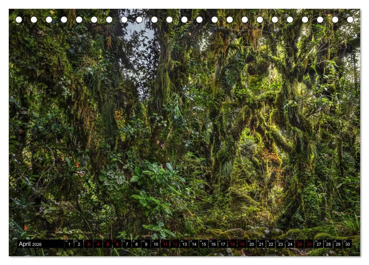 Bild: 9783457884621 | Trauminseln Neuseeland (Tischkalender 2026 DIN A5 quer), CALVENDO...