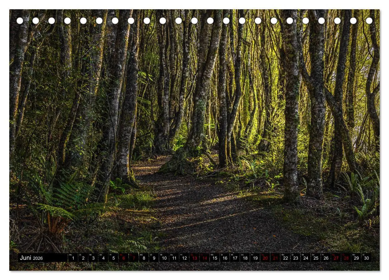 Bild: 9783457884621 | Trauminseln Neuseeland (Tischkalender 2026 DIN A5 quer), CALVENDO...