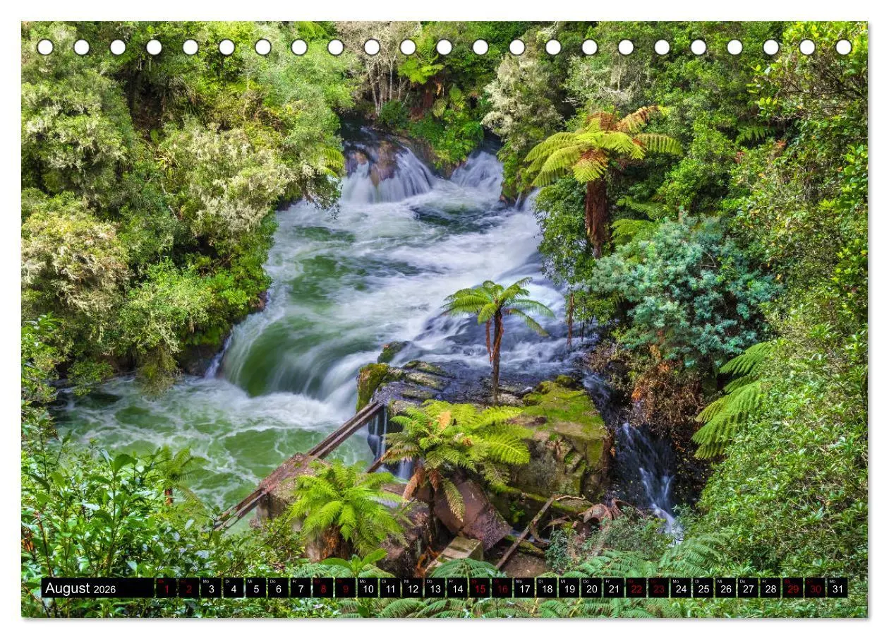 Bild: 9783457884621 | Trauminseln Neuseeland (Tischkalender 2026 DIN A5 quer), CALVENDO...