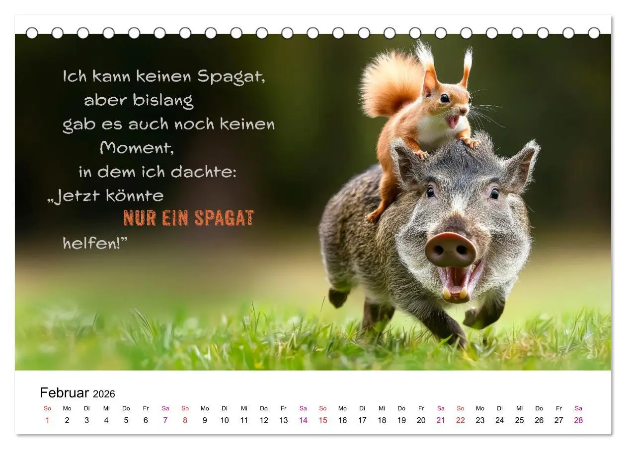 Bild: 9783457304921 | Tierische Klugscheißer (Tischkalender 2026 DIN A5 quer), CALVENDO...