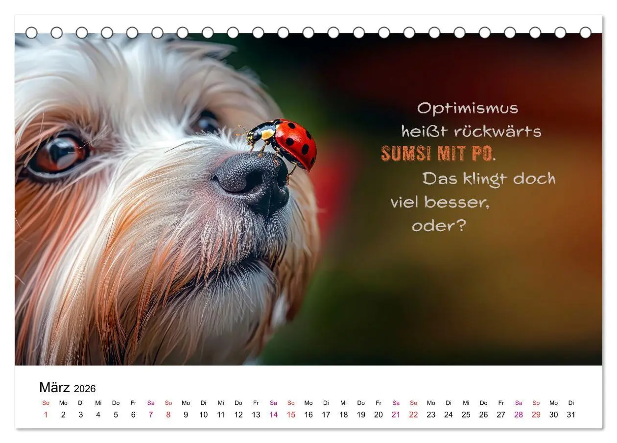 Bild: 9783457304921 | Tierische Klugscheißer (Tischkalender 2026 DIN A5 quer), CALVENDO...