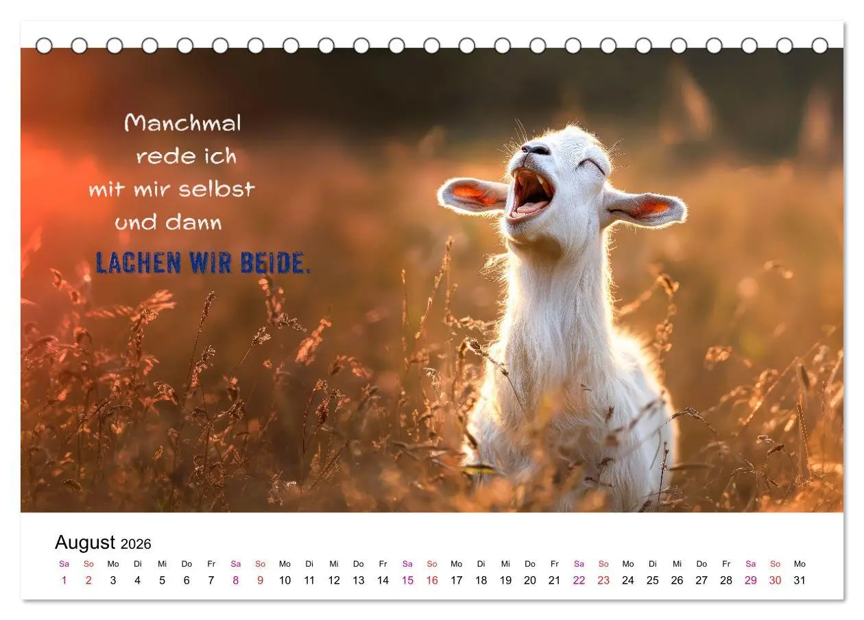 Bild: 9783457304921 | Tierische Klugscheißer (Tischkalender 2026 DIN A5 quer), CALVENDO...