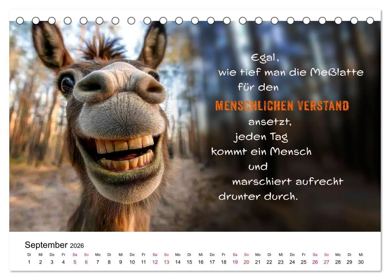 Bild: 9783457304921 | Tierische Klugscheißer (Tischkalender 2026 DIN A5 quer), CALVENDO...