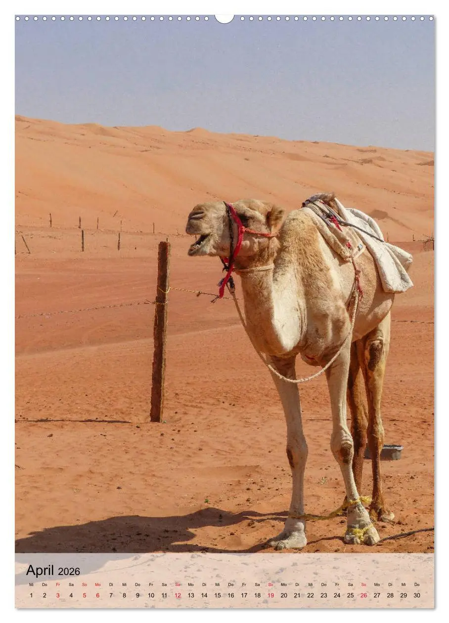 Bild: 9783516385021 | Zauberhafter Oman (hochwertiger Premium Wandkalender 2026 DIN A2...