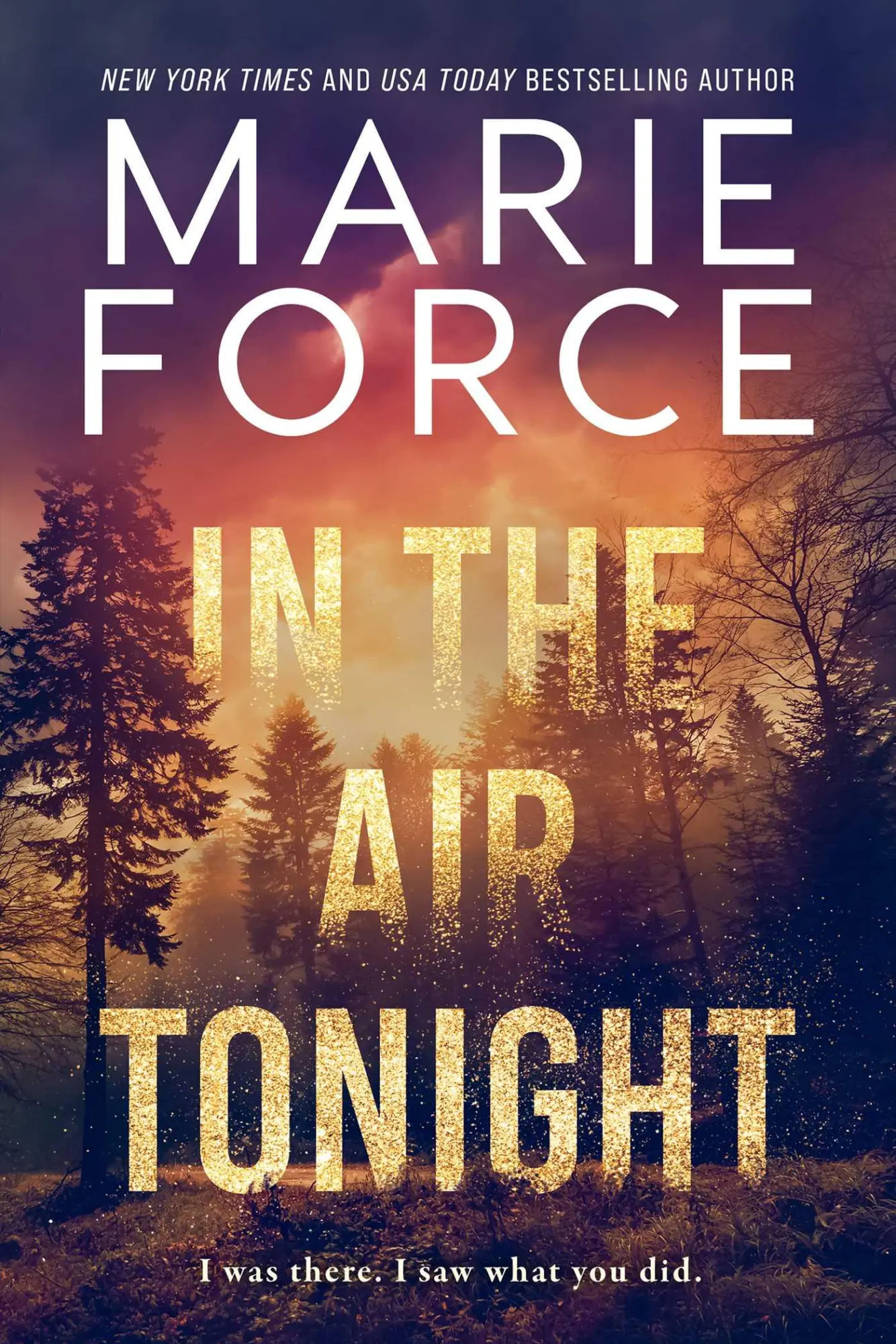 Cover: 9781963135121 | In the Air Tonight | Marie Force | Taschenbuch | Englisch | 2024