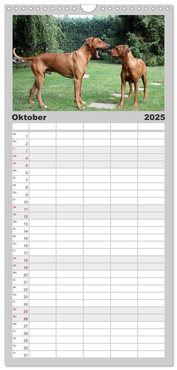 Bild: 9783457115121 | Familienplaner 2025 - Rhodesian Ridgeback - Moments mit 5 Spalten...