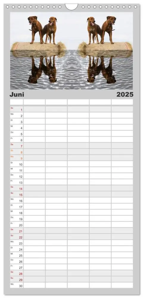 Bild: 9783457115121 | Familienplaner 2025 - Rhodesian Ridgeback - Moments mit 5 Spalten...