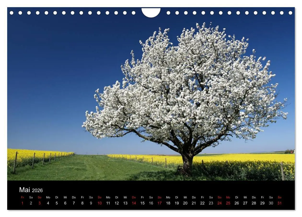 Bild: 9783457975121 | Himmel über Rheinhessen (Wandkalender 2026 DIN A4 quer), CALVENDO...