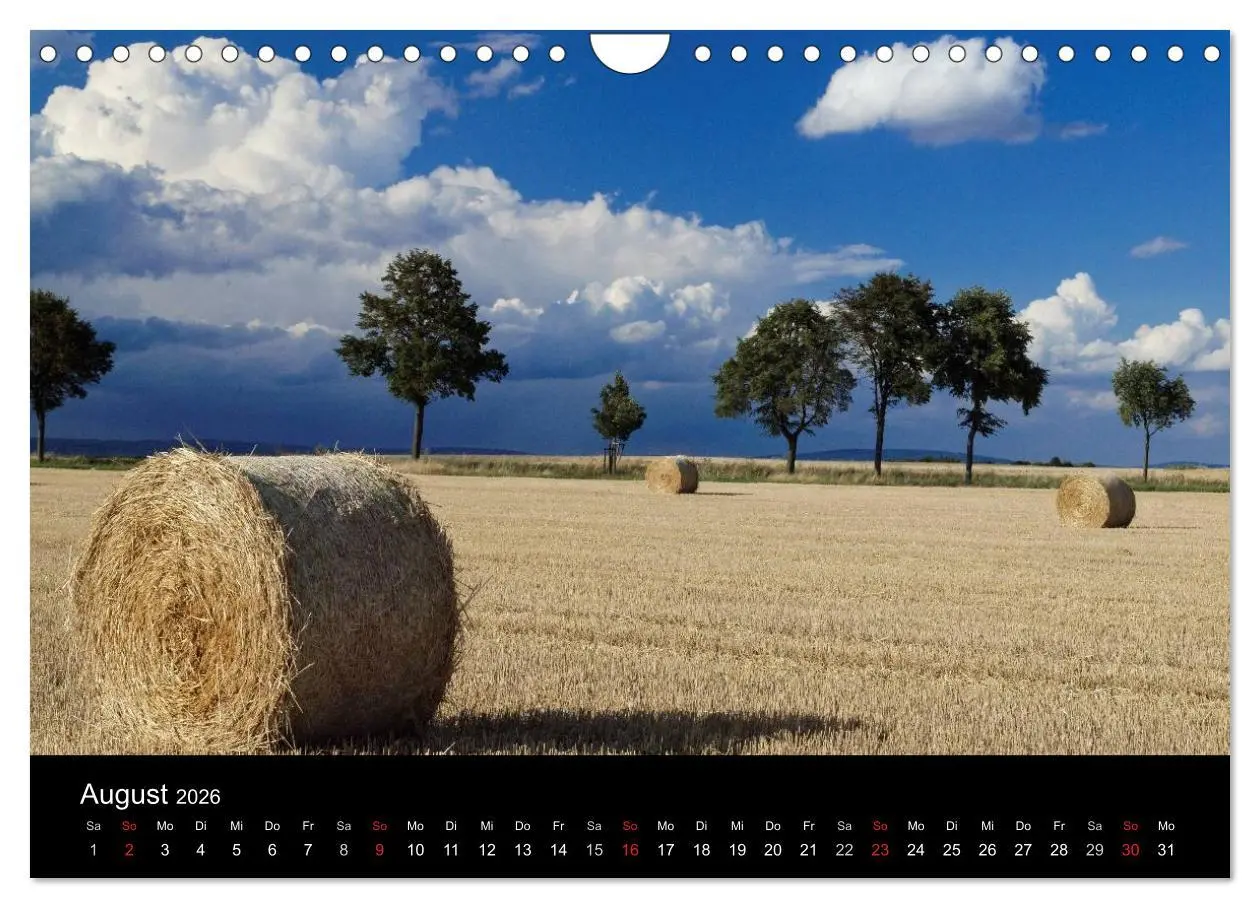 Bild: 9783457975121 | Himmel über Rheinhessen (Wandkalender 2026 DIN A4 quer), CALVENDO...