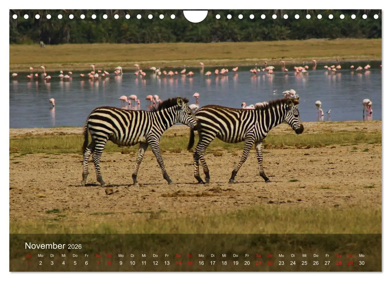 Bild: 9783457655221 | Ostafrika - Tansania und Kenia hautnah (Wandkalender 2026 DIN A4...