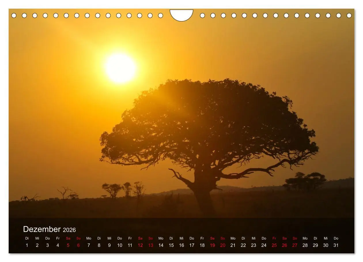 Bild: 9783457655221 | Ostafrika - Tansania und Kenia hautnah (Wandkalender 2026 DIN A4...