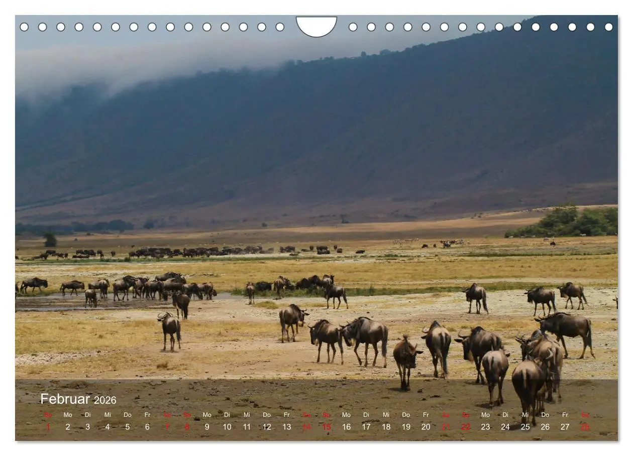 Bild: 9783457655221 | Ostafrika - Tansania und Kenia hautnah (Wandkalender 2026 DIN A4...