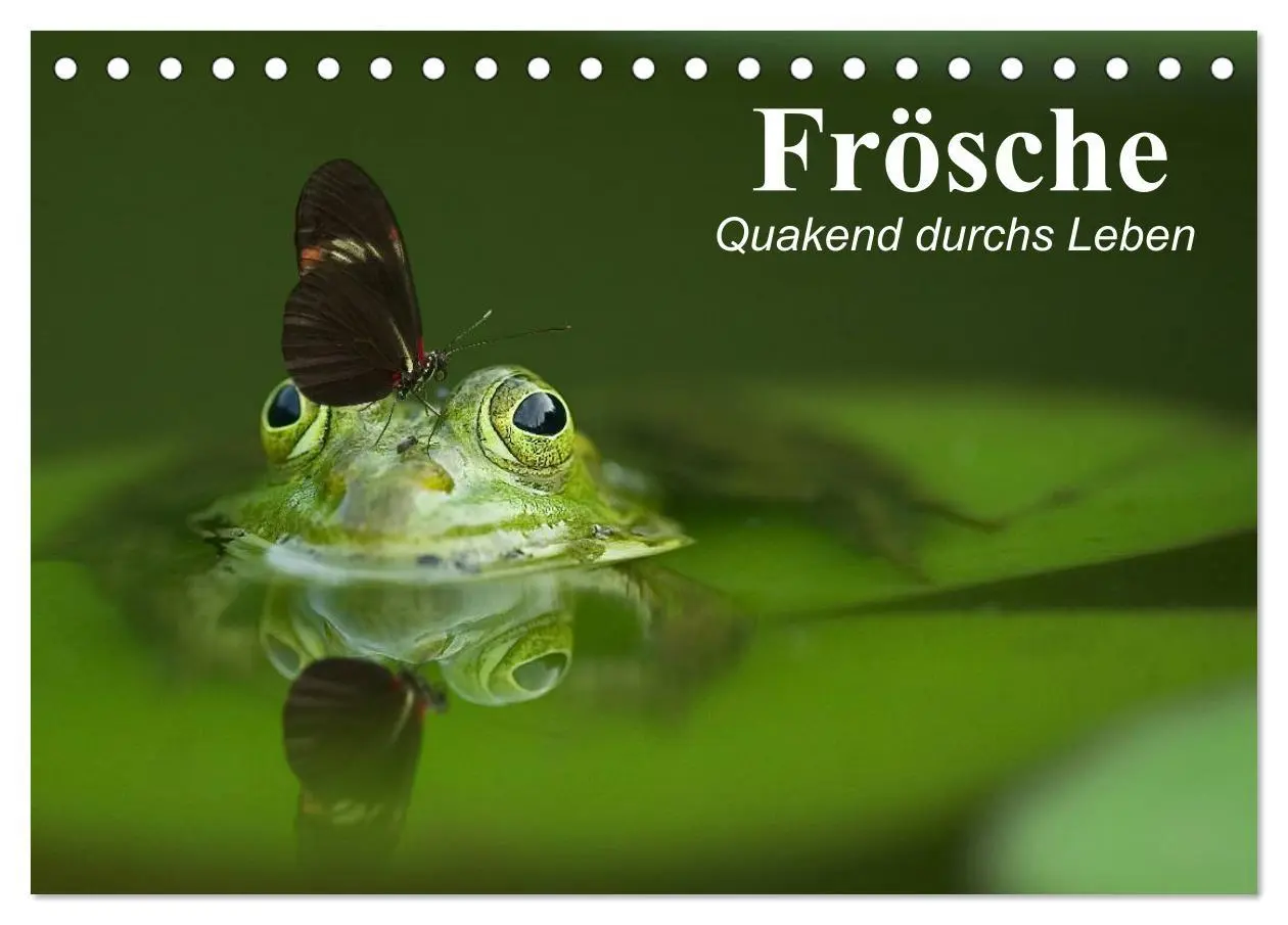 Cover: 9783516055221 | Frösche. Quakend durchs Leben (Tischkalender 2026 DIN A5 quer),...