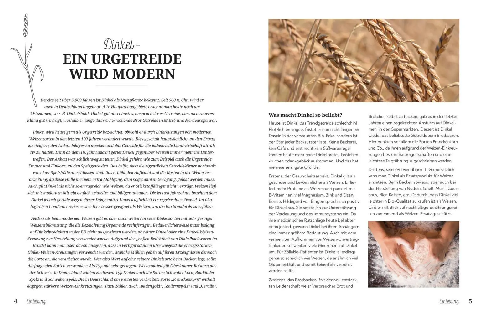 Bild: 9783625195221 | Backen mit Dinkel | Korngesund, lecker, wohltuend! | Taschenbuch