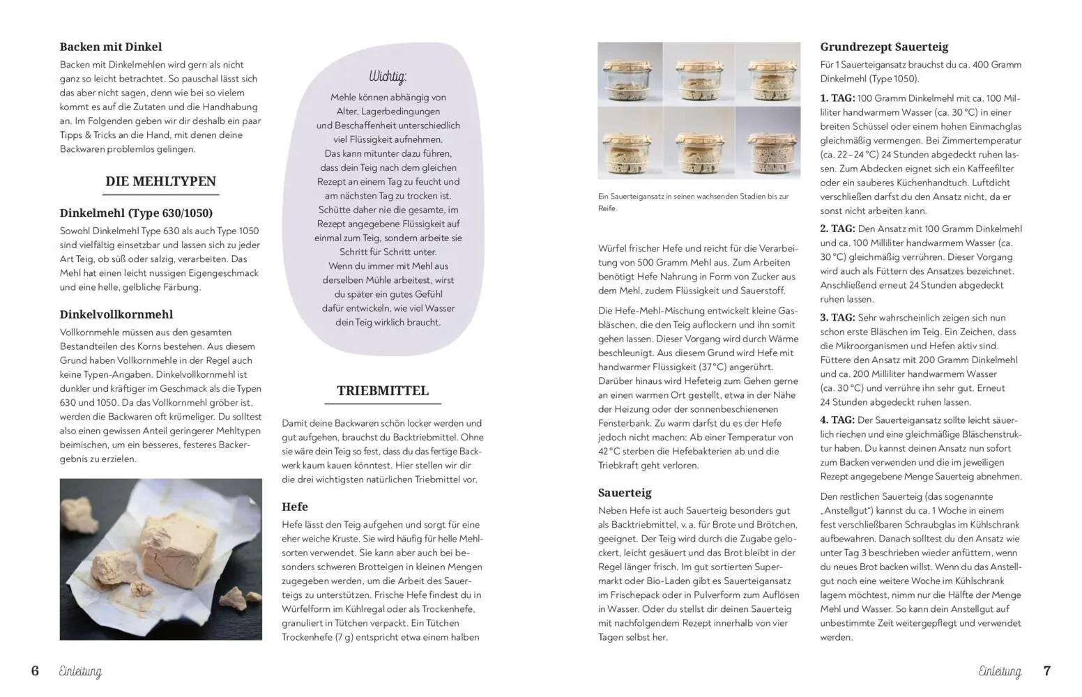 Bild: 9783625195221 | Backen mit Dinkel | Korngesund, lecker, wohltuend! | Taschenbuch