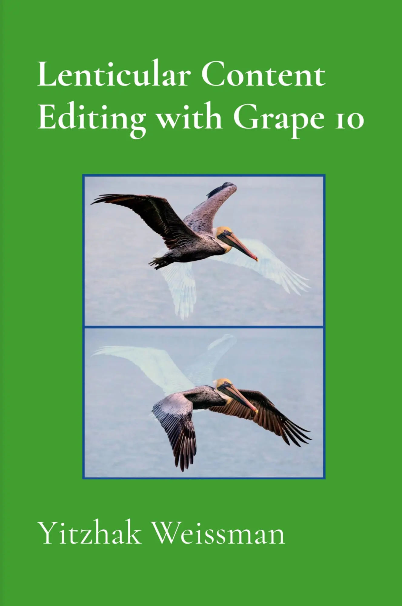 Cover: 9789655985221 | Lenticular Content Editing with Grape 10 | Yitzhak Weissman | Buch