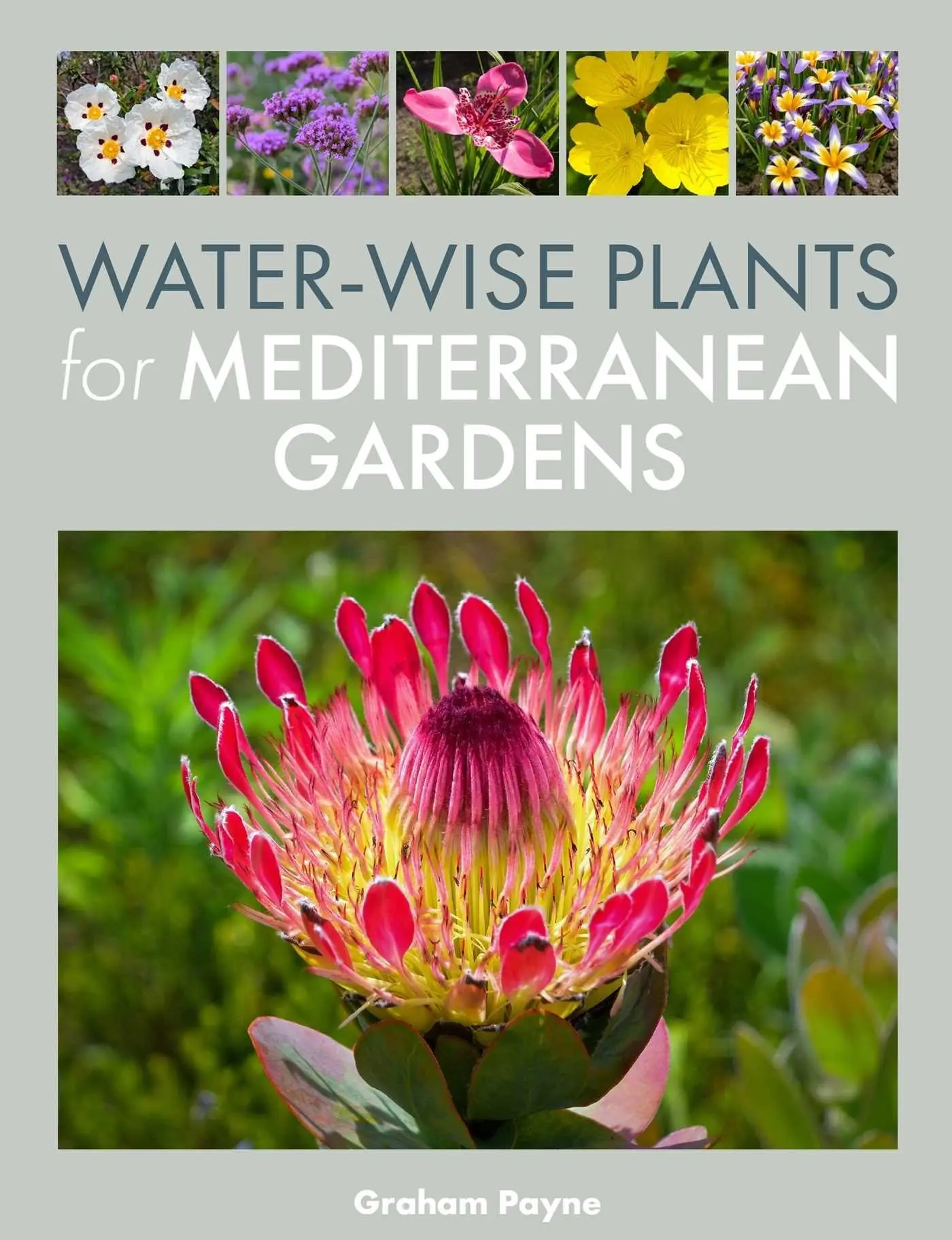 Cover: 9780719845321 | Water-Wise Plants for Mediterranean Gardens | Graham Payne | Buch