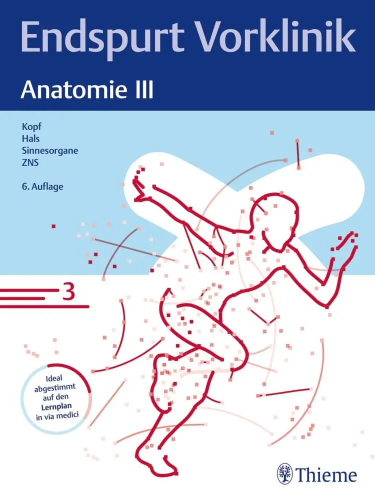 Cover: 9783132445321 | Endspurt Vorklinik: Anatomie III | Taschenbuch | Broschiert (KB)
