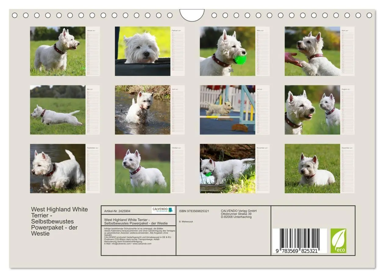 Bild: 9783569825321 | West Highland White Terrier - Selbstbewustes Powerpaket - der...