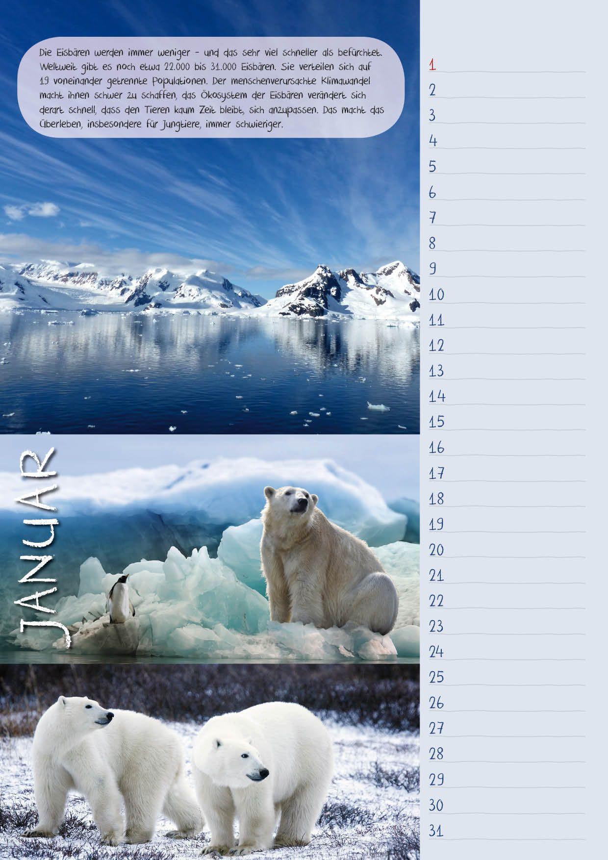 Bild: 9783925605321 | Geburtstagskal. Bedrohte Tierarten/Natur | Dieter Braue | Kalender