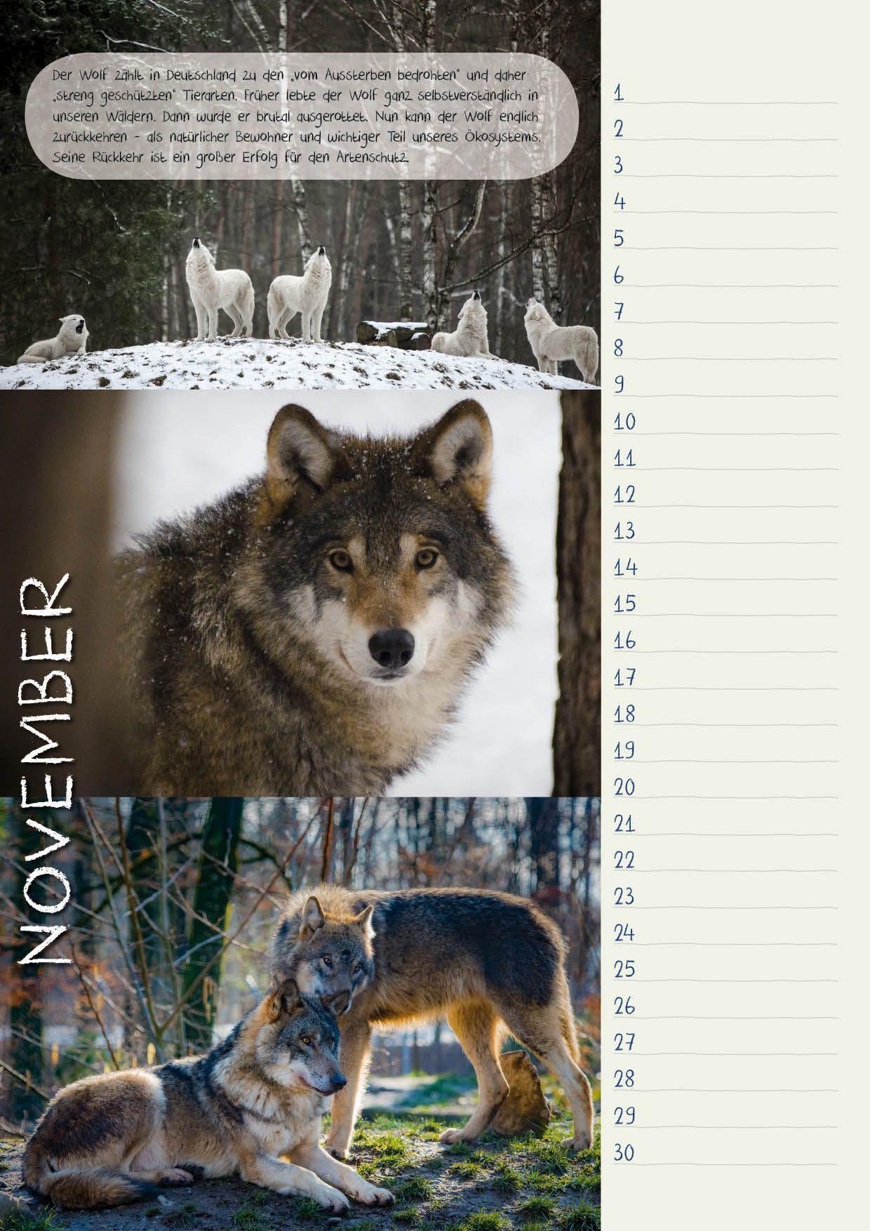 Bild: 9783925605321 | Geburtstagskal. Bedrohte Tierarten/Natur | Dieter Braue | Kalender