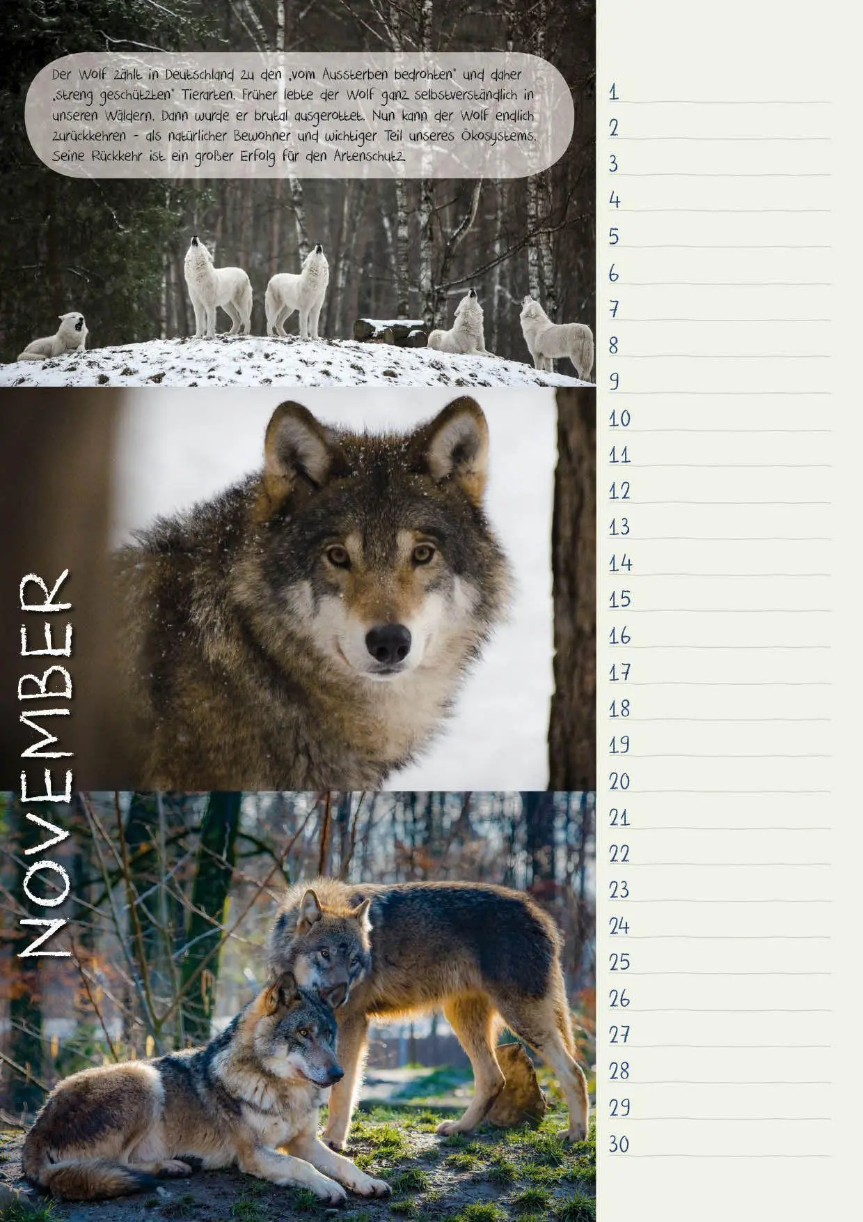Bild: 9783925605321 | Geburtstagskal. Bedrohte Tierarten/Natur | Dieter Braue | Kalender