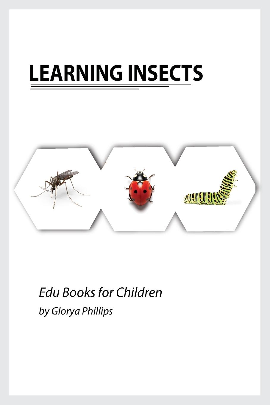 Cover: 9782670275421 | Learning Insects | Glorya Phillips | Taschenbuch | Englisch | 2021