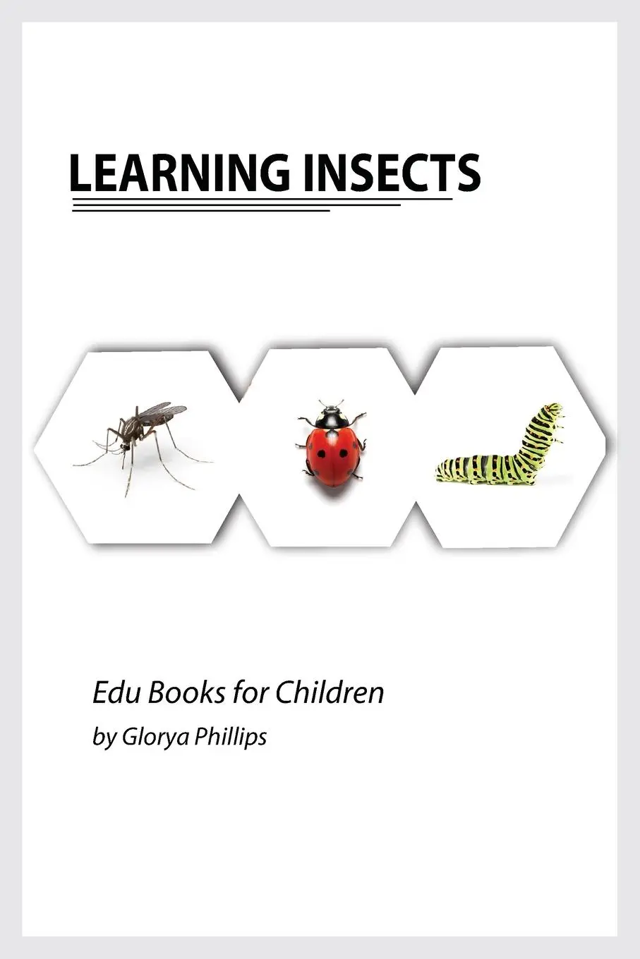 Cover: 9782670275421 | Learning Insects | Glorya Phillips | Taschenbuch | Englisch | 2021