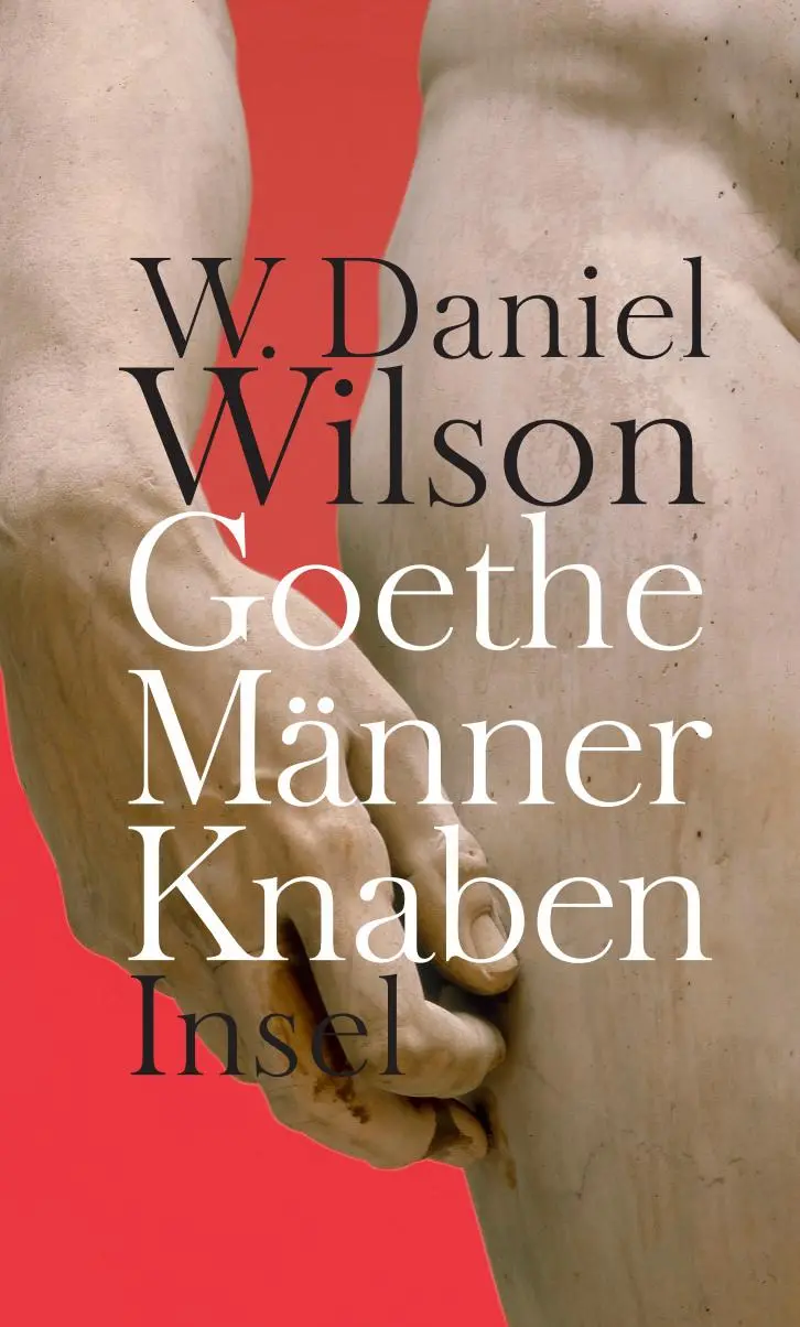 Cover: 9783458175421 | Goethe Männer Knaben | Ansichten zur &gt;Homosexualität&lt; | Wilson | Buch