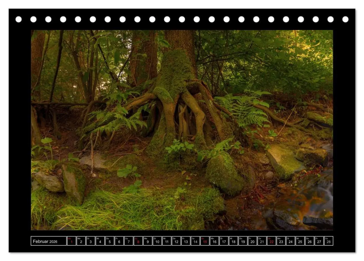 Bild: 9783516035421 | Annaberg im Erzgebirge (Tischkalender 2026 DIN A5 quer), CALVENDO...