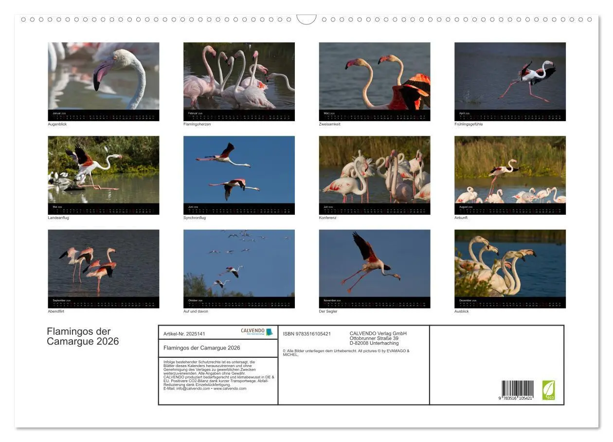 Bild: 9783516105421 | Flamingos der Camargue 2026 (Wandkalender 2026 DIN A2 quer),...
