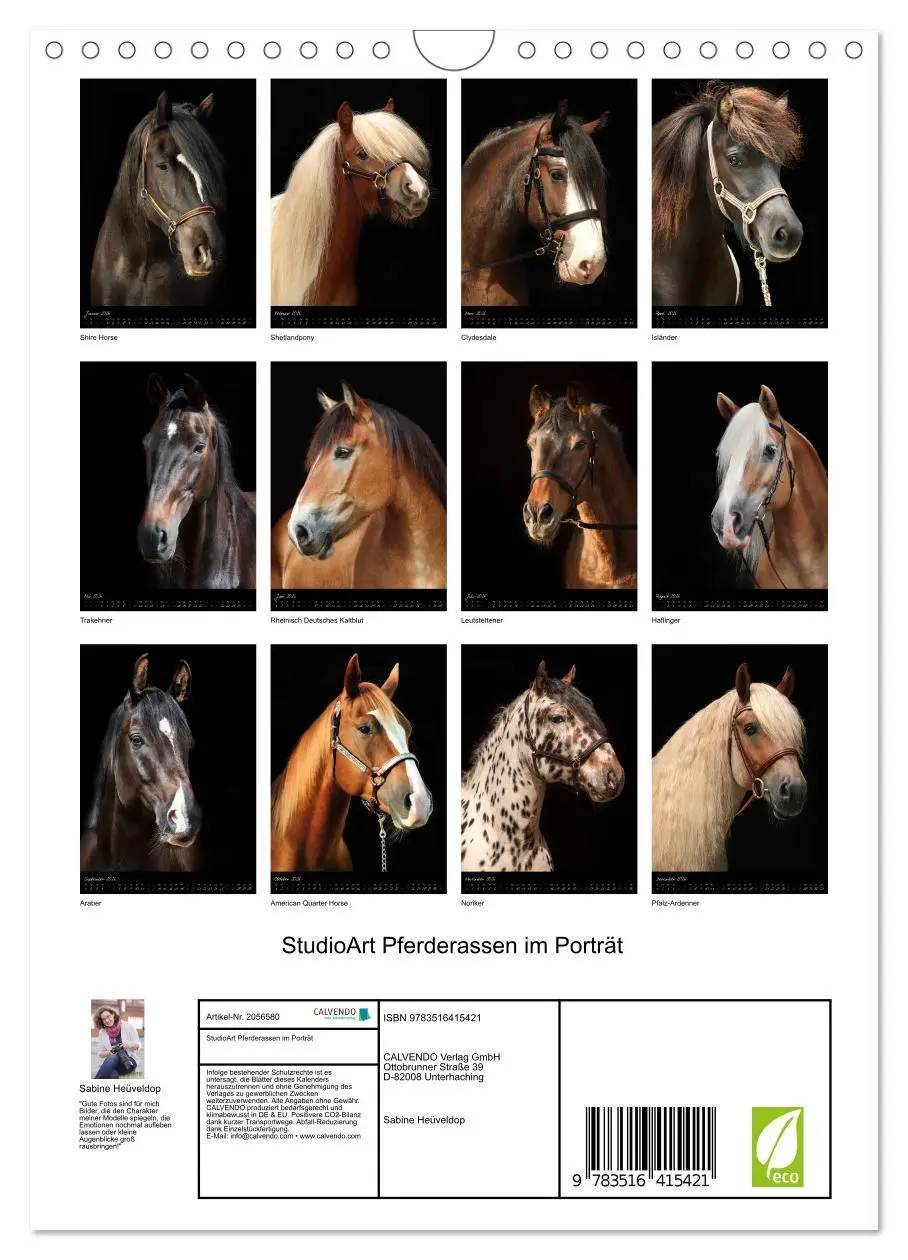 Bild: 9783516415421 | StudioArt Pferderassen im Porträt (Wandkalender 2026 DIN A4 hoch),...