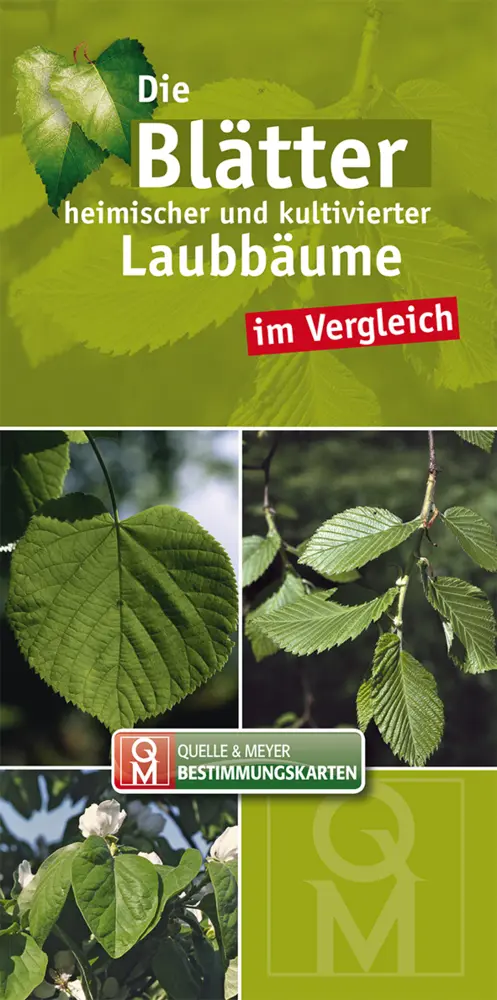 Cover: 9783494015521 | Die Blätter heimischer und kultivierter Laubbäume im Vergleich | Buch