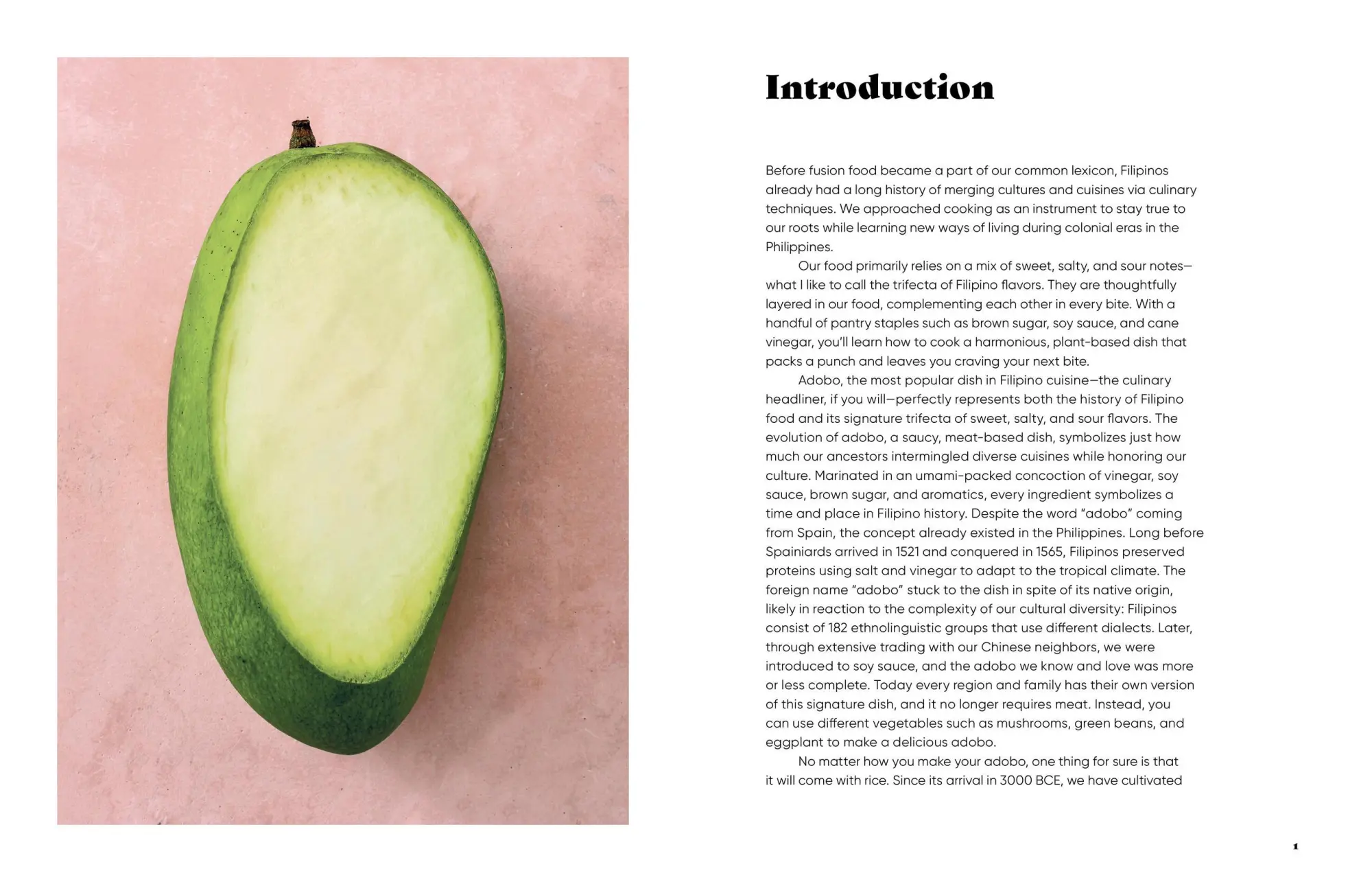 Bild: 9781523525621 | Make It Plant-Based! Filipino | Ria Elciario-McKeown | Buch | Gebunden