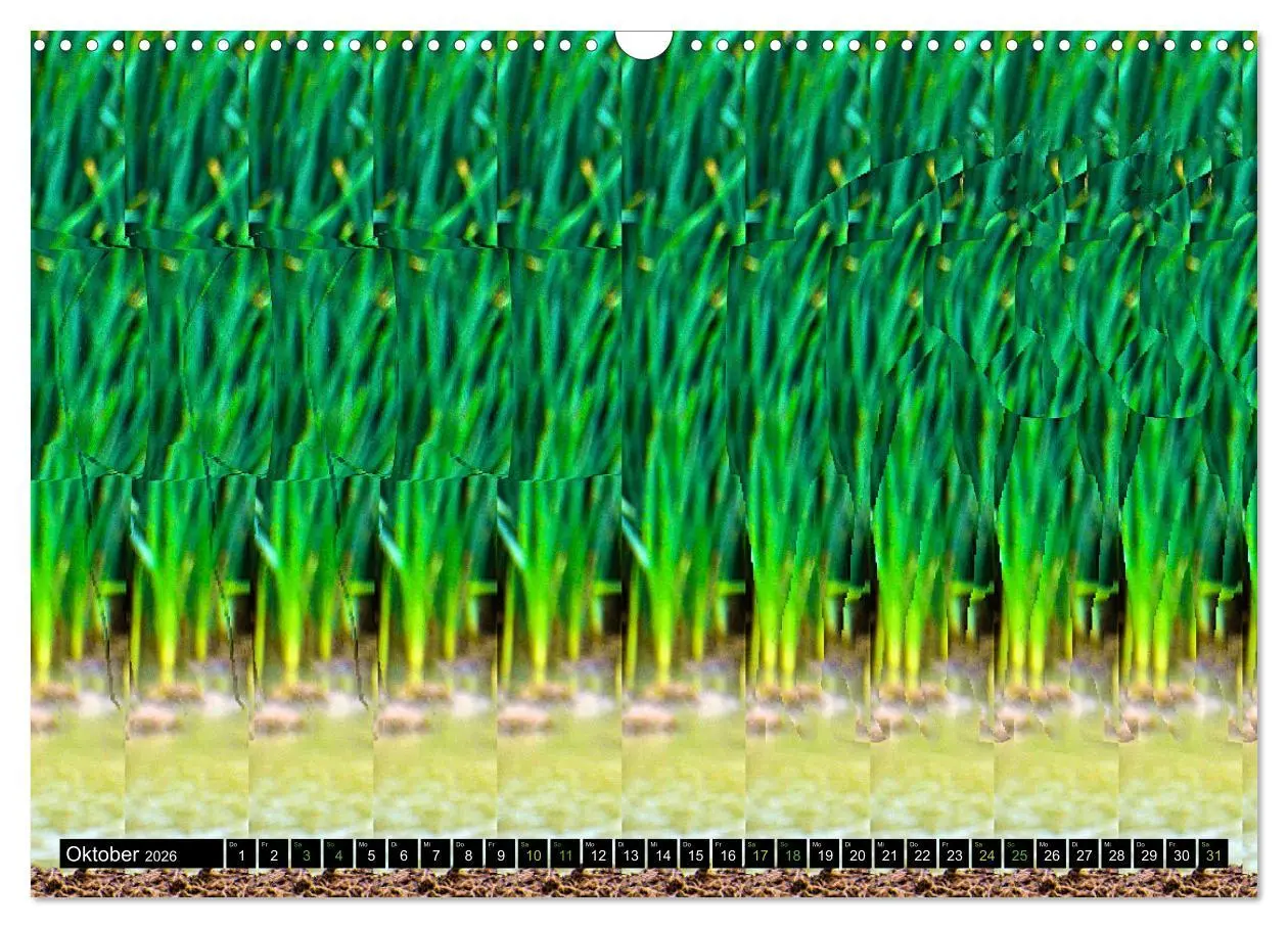 Bild: 9783457545621 | Magische Bilder - Stereogramme und 3D-Illusionen (Wandkalender 2026...