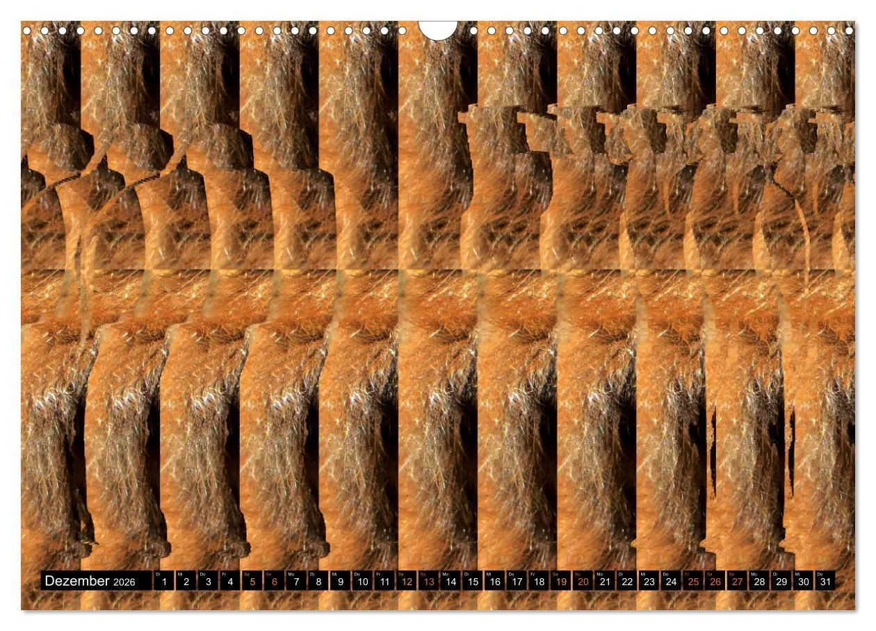 Bild: 9783457545621 | Magische Bilder - Stereogramme und 3D-Illusionen (Wandkalender 2026...