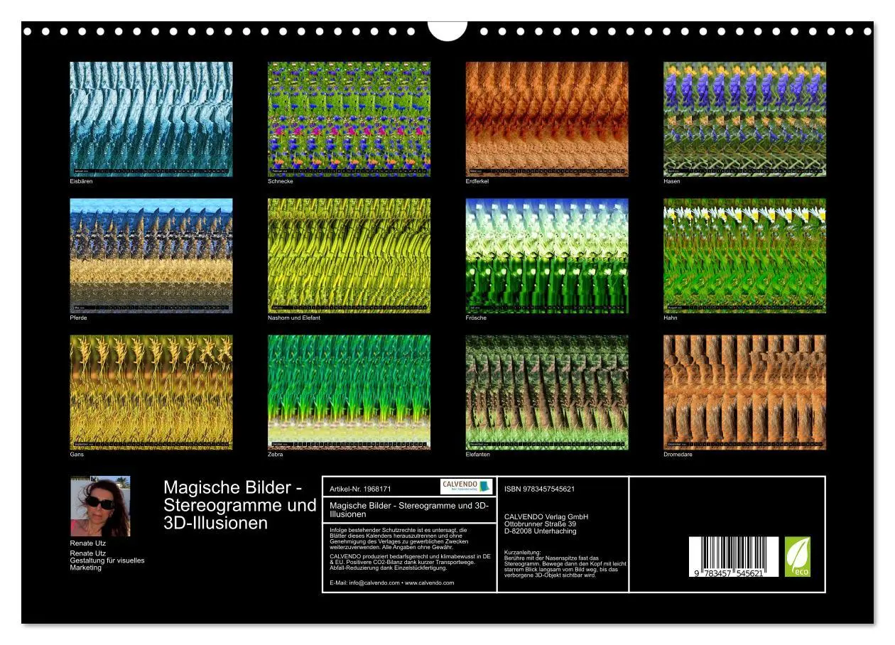Bild: 9783457545621 | Magische Bilder - Stereogramme und 3D-Illusionen (Wandkalender 2026...