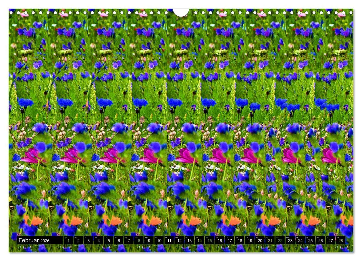 Bild: 9783457545621 | Magische Bilder - Stereogramme und 3D-Illusionen (Wandkalender 2026...