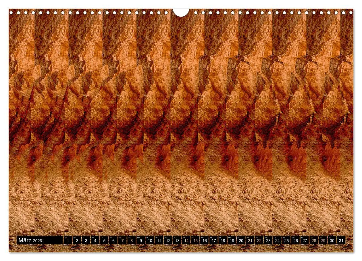 Bild: 9783457545621 | Magische Bilder - Stereogramme und 3D-Illusionen (Wandkalender 2026...