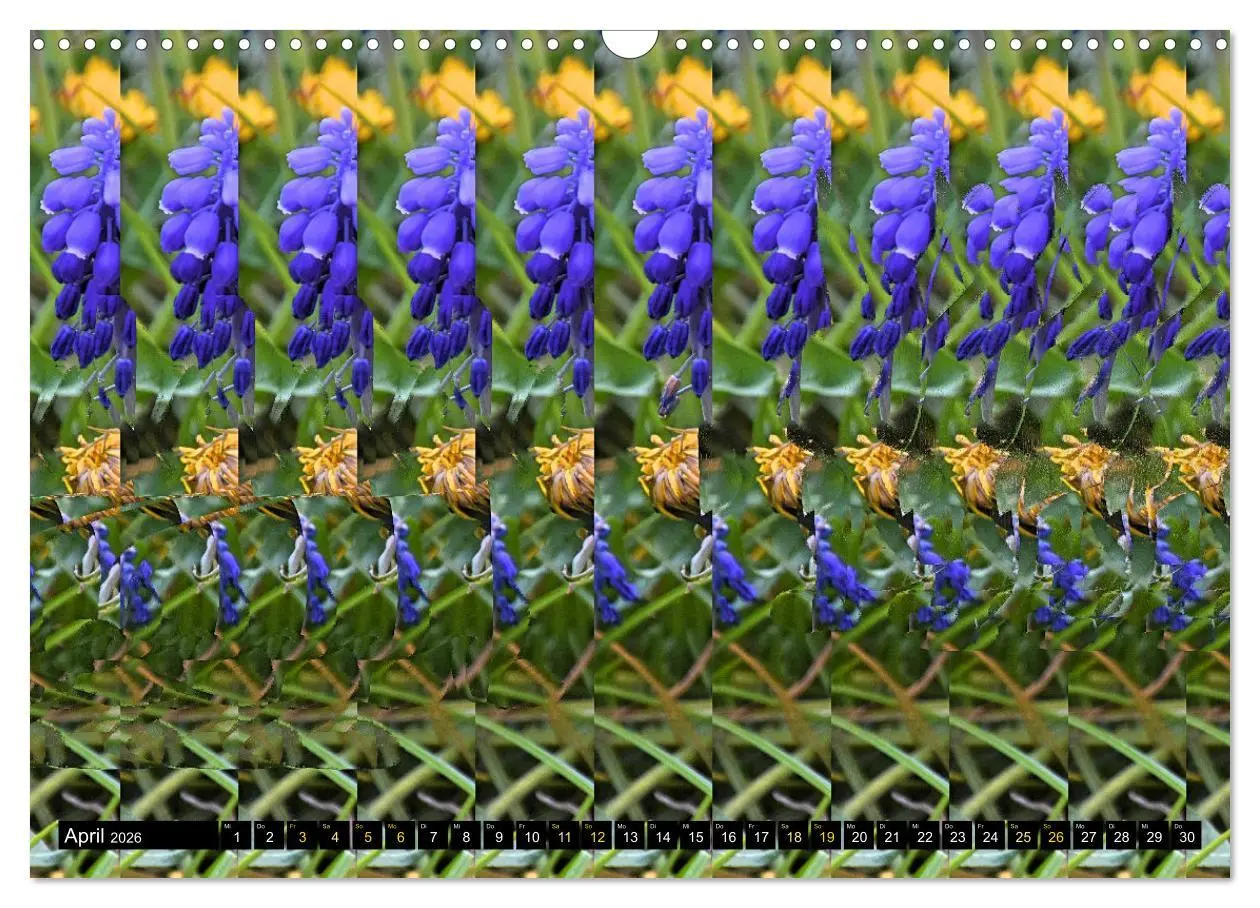 Bild: 9783457545621 | Magische Bilder - Stereogramme und 3D-Illusionen (Wandkalender 2026...