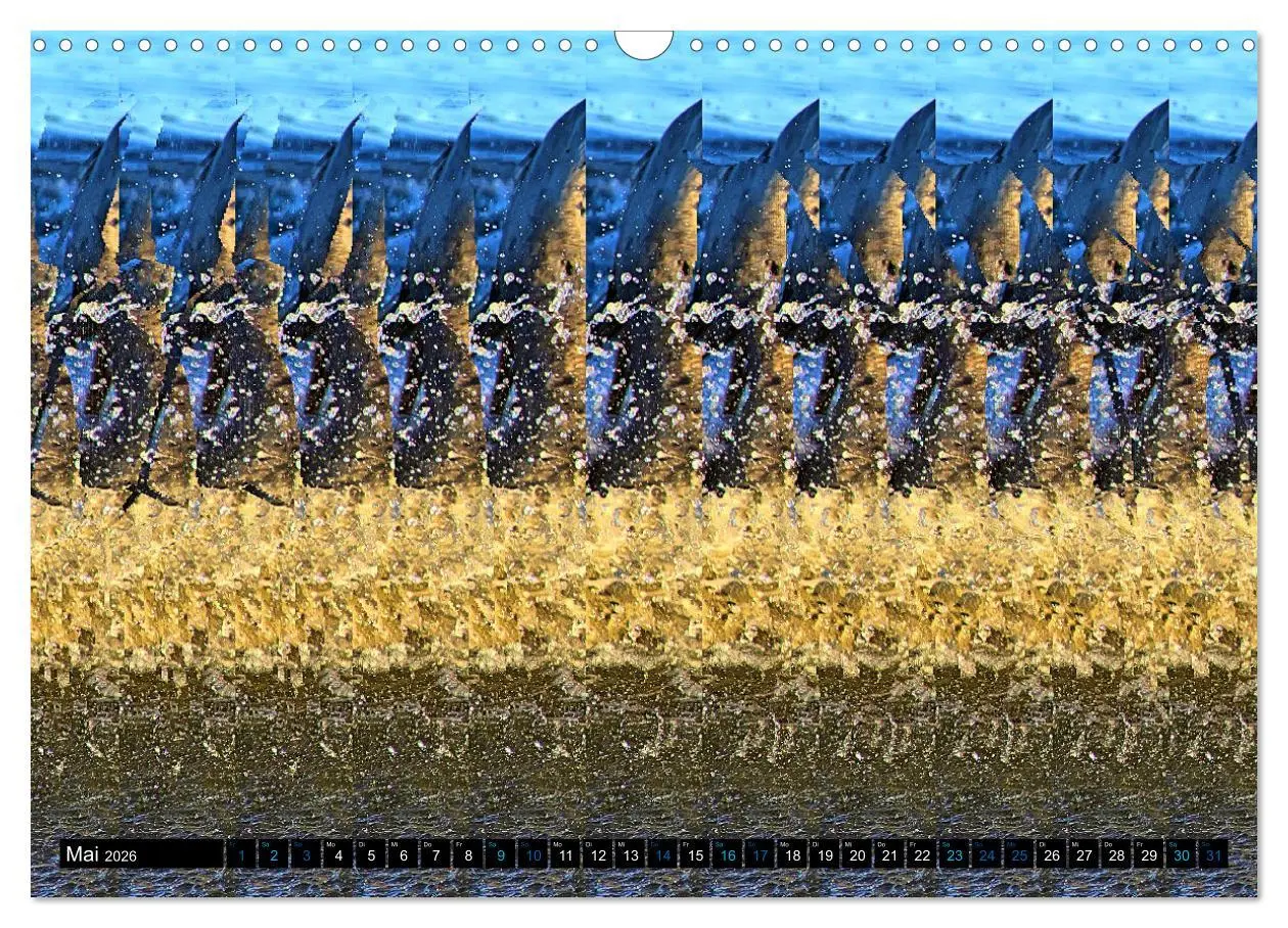 Bild: 9783457545621 | Magische Bilder - Stereogramme und 3D-Illusionen (Wandkalender 2026...