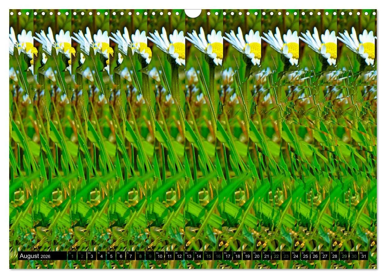 Bild: 9783457545621 | Magische Bilder - Stereogramme und 3D-Illusionen (Wandkalender 2026...