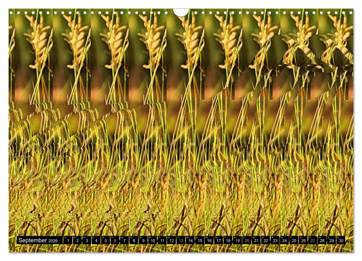 Bild: 9783457545621 | Magische Bilder - Stereogramme und 3D-Illusionen (Wandkalender 2026...