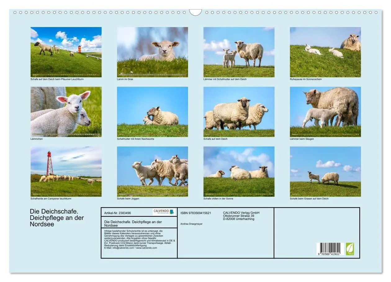 Bild: 9783569415621 | Die Deichschafe. Deichpflege an der Nordsee (Wandkalender 2027 DIN...