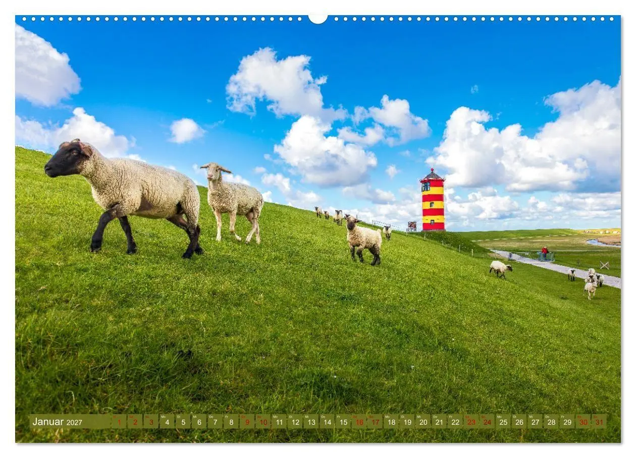 Bild: 9783569415621 | Die Deichschafe. Deichpflege an der Nordsee (Wandkalender 2027 DIN...