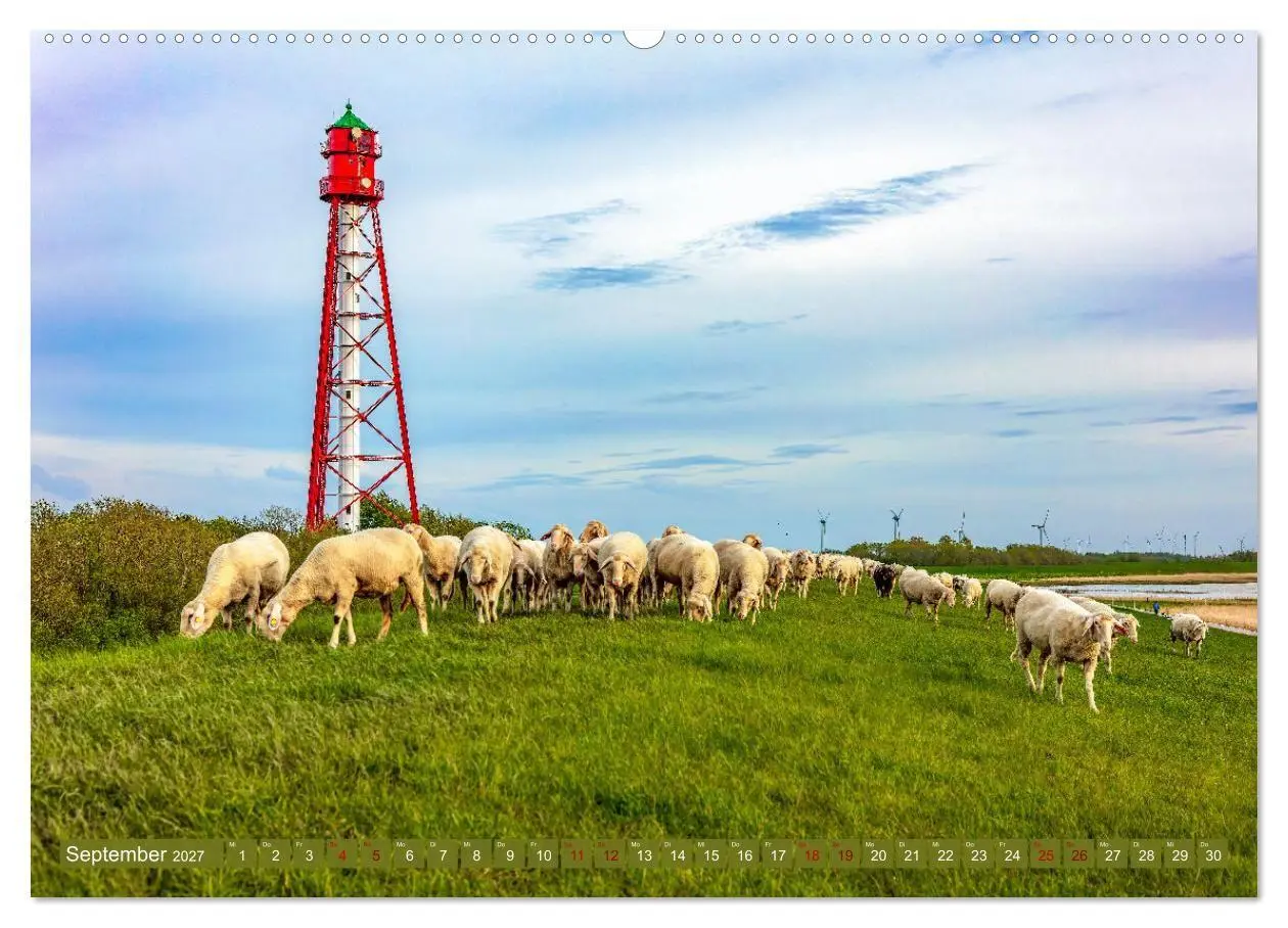 Bild: 9783569415621 | Die Deichschafe. Deichpflege an der Nordsee (Wandkalender 2027 DIN...