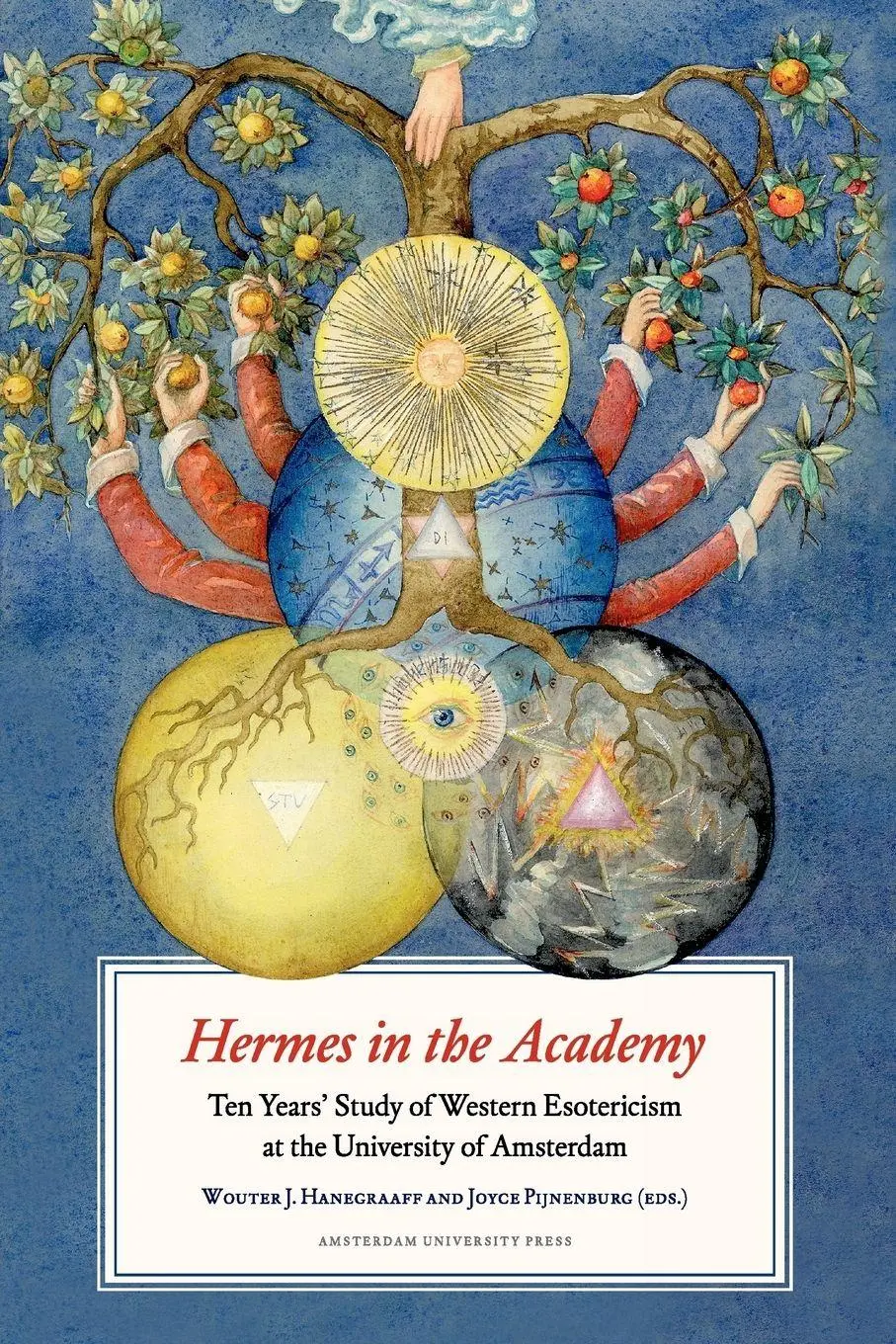Cover: 9789056295721 | Hermes in the Academy | Wouter Hanegraaff (u. a.) | Taschenbuch | 2009