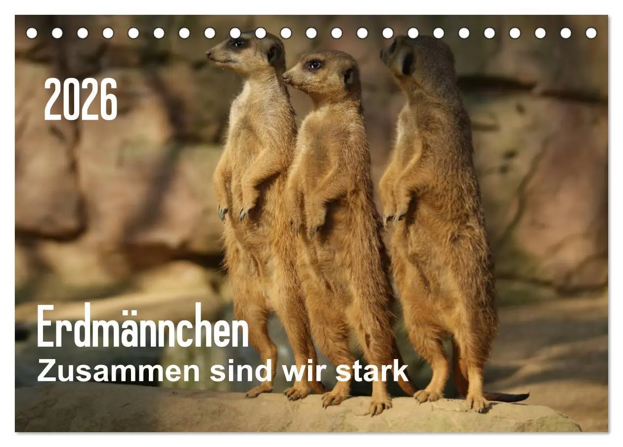Cover: 9783516235821 | Erdmännchen - Zusammen sind wir stark (Tischkalender 2026 DIN A5...